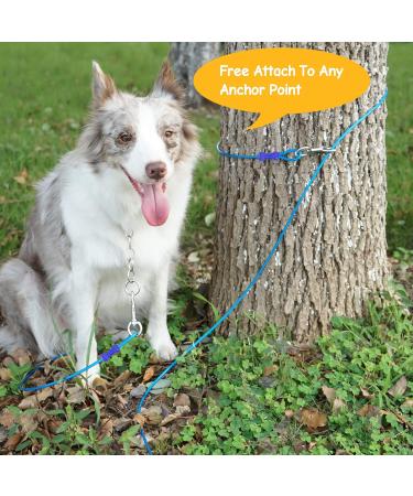 Petphabet Intestepflock Insertspirale - 3m Dog Leash with Floor & Earth Anchor | Teal Tie Out for Outdoor Use - Buy Online on SooperMarket.com