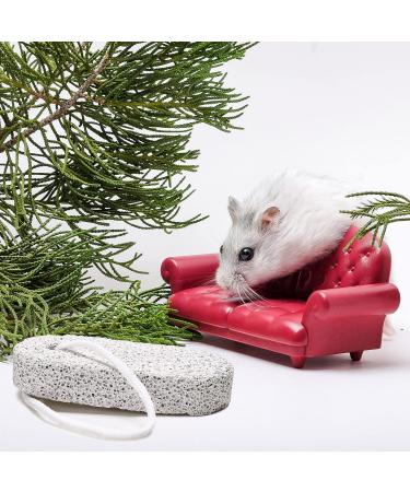STOBOK 2 Pcs Pet Teeth Grinding Stone Calcium Mineral Stone for Mouse Rabbit Squirrel Hamster Small Pets - Buy Online on SooperMarket.com