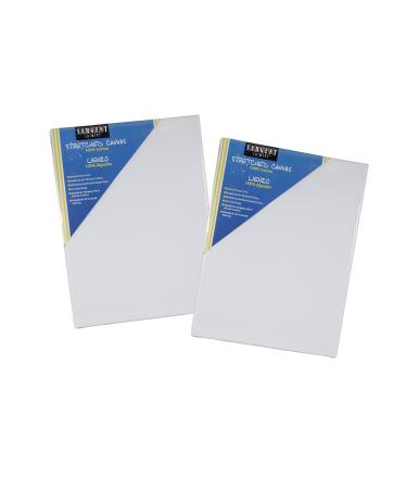 Sargent Art Value Pack Stretched Canvas 16 x 20 Inch (Pack of 2) Double Acrylic Titanium Priming Perfect for Acrylic Oil and Art Projects Acrylic Pouring & Wet Media