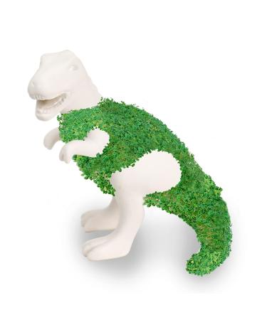 GR Gift Republic Chia-Saurus | Dino Planter | Planters | Chia seeds