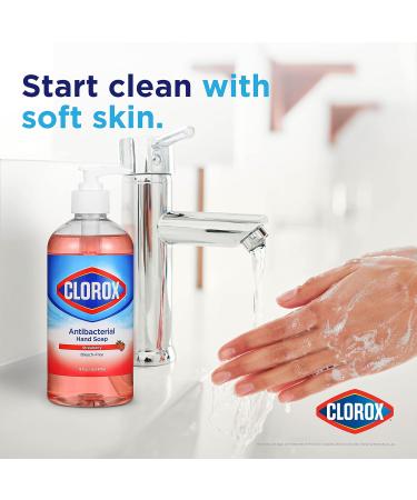 Clorox Liquid Hand Soap - 16 Fl Oz Pump Germ Eliminator Soft on Hands Tough on Dirt Strawberry Scented Hand Wash & Foam Soap - Buy Online on SooperMarket.com