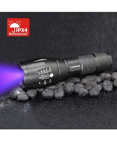 Darkbeam UV Flashlight 365/395nm - Portable Black Light Detector for Dog Urine Pet Spots & Banknote Identification - Mini Handheld LED Lamp - Buy Online on SooperMarket.com