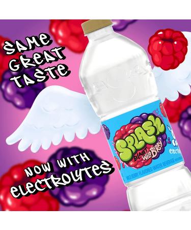 Wild Berry Flavor Splash Blast Flavored Water Beverage - 16.9 fl oz Plastic Bottles (24 Pack) - Buy Online on SooperMarket.com