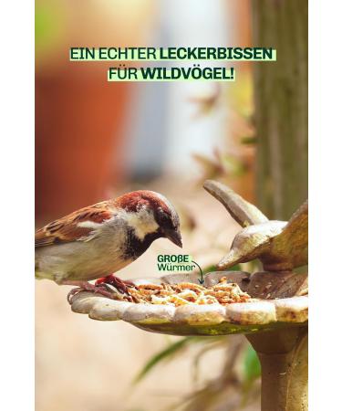 Blumixx Mealworms for Wild Birds & Small Animals - 800g Nutritious Dried Feed | Ideal Winter Bird Food & Pet Supplement - Buy Online on SooperMarket.com