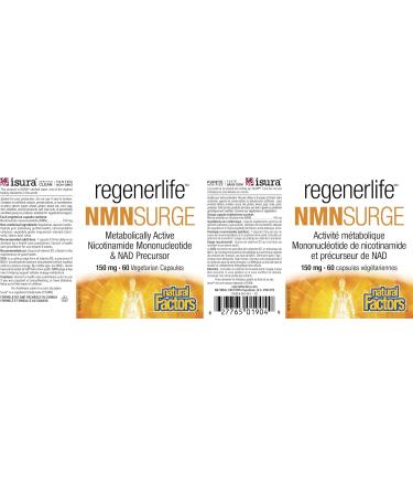 Natural Factors Regenerlife NMNSURGE 150 mg 60 vegetarian capsules Metobolically Active (Vitamin B3) Nicotinamide Mononucleotide (NMN) Healthy Aging Support - Buy Online on SooperMarket.com