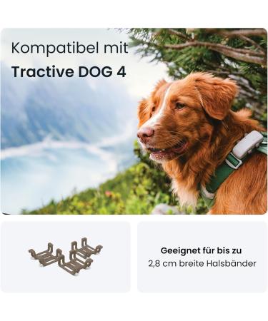 Tractive GPS Tracker for Dogs - 3 Pack with Brown Rubber Clips | International Shipping Available - Buy Online on SooperMarket.com