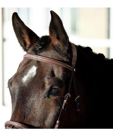 Horze Constance Padded Fancy Stitch Bridle w/Reins - Tan Horse - Buy Online on SooperMarket.com