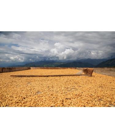 Sons of Amazon 500g Mission Mix Premium Coffee - Ethically Sourced Whole Beans - Buy Online on SooperMarket.com