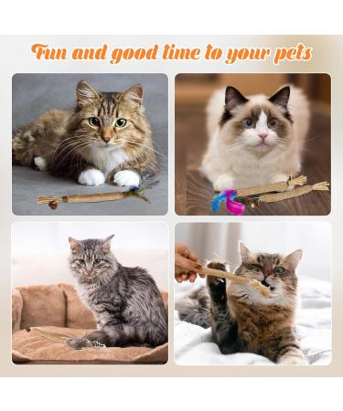 Zuimei 6 Pack Silvervine Chew Sticks Kitten Teething Toys Natural Cat Teeth Nip Cleaning Teeth Chew Catnip Toys with Bells and Feathers for Cat Teeth Cleaning Kitten Teething and Stress Release - Buy Online on SooperMarket.com
