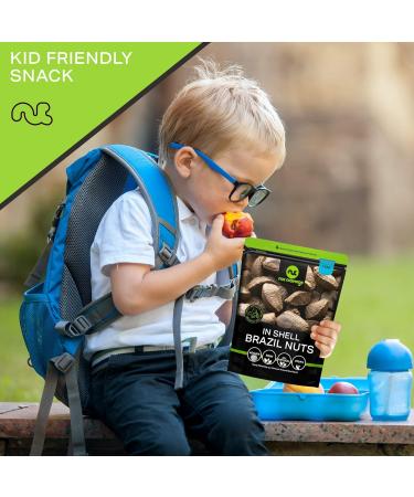 Raw Brazil Nuts In Shell - Whole Superior Quality (5 LB) - Fresh & Healthy Protein Snack - All Natural Keto Friendly & Vegan - 5 Pound Resealable Bulk Pack - Buy Online on SooperMarket.com