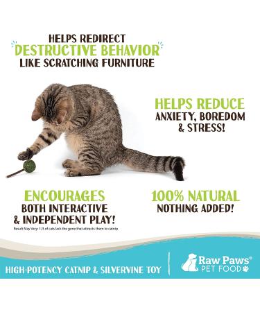 Raw Paws Catnip Lollipop (6-Pack) - Catnip Toys for Indoor Cats - Catnip Ball, Silvervine & Matatabi Stick for Cats - Buy Online on SooperMarket.com