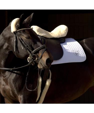Werner Horse Anatomical Dressage Moon Belt Saddle Strap - Christ Lamb Fur 65cm Black-Nature - Buy Online on SooperMarket.com