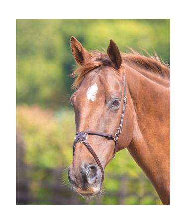 Shires Blenheim Mexican Noseband Havana Extra Full