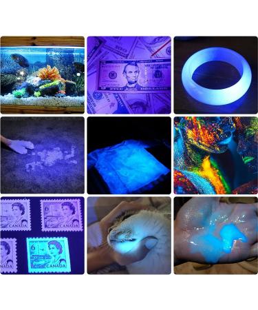 DARKBEAM UV Light Torch Ultraviolet Flashlight Rechargeable 365nm Wood's Lamp Black Light Blacklight Portable Mini Handheld LED Pet Urine Ringworm Detector Resin Curing Pocket-Sized - Buy Online on SooperMarket.com