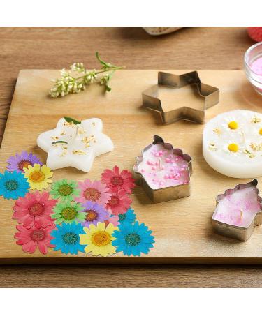 84 Pieces Real Dried Pressed Flowers - Natural Daisy Variety for DIY Crafts & Decorations - 7 Colors - Resin Casting, Jewelry, Candle, Soap Making Supplies - Buy Online on SooperMarket.com