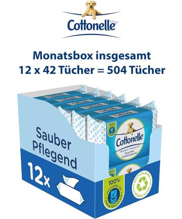 Buy Cottonelle Moist Toilet Paper - Biodegradable Wet Wipes with Cotton Fragrance | 12x42 Pack - Clean & Nourishing | International Shipping Available - Buy Online on SooperMarket.com