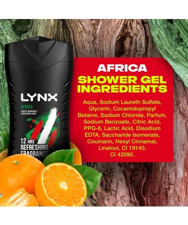 Lynx SG Africa 250ml - Buy Online on SooperMarket.com