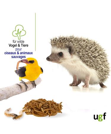 UGF Premium Dried Mealworms 250g | Insect Snacks for Birds Hamsters Hedgehogs Rodents Lizards & Turtles - No Preservatives or Dyes - Buy Online on SooperMarket.com