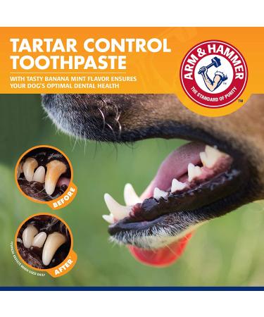 Arm & Hammer Tartar Control Dental Kit for Dogs - Banana Mint Flavor - Buy Online on SooperMarket.com