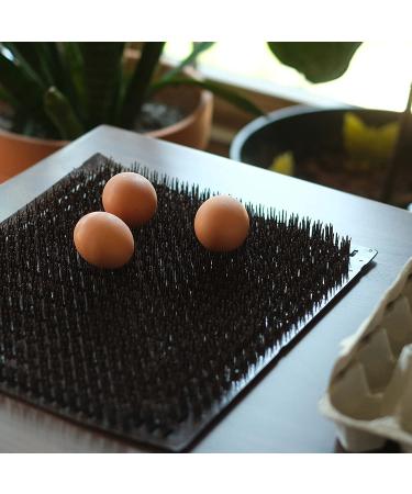Rural365 Washable Chicken Nesting Box Liners - 6 Pack Reusable Nesting Pad for Egg Laying Mats - Buy Online on SooperMarket.com