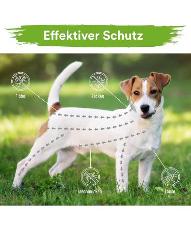 MC -Royal Tick Collar for Small Dogs & Cats | Waterproof Adjustable 8 Months Protection | 100% Natural Ingredients - Buy Online on SooperMarket.com