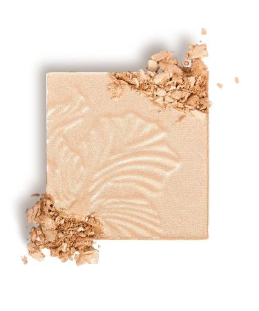 Wet n Wild Mega Glo Highlighter Makeup Powder Set - Blossom Glow, Golden Flower Crown, Precious Petals + Pro Line Tapered Blending Brush - Buy Online on SooperMarket.com
