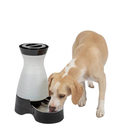 PetSafe Healthy Pet Food Station or Water Station - Gravity Feeders or Pet Water Dispensers - Automatic Cat Feeder, Dog Feeder, Pet Feeder - Dog or Cat Water Fountain, Pet Water Fountain, Waterer Waterer Medium