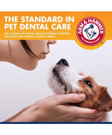 Arm & Hammer Tartar Control Dental Kit for Dogs - Beef Flavor | Freshens Breath & Supports Oral Health - Buy Online on SooperMarket.com