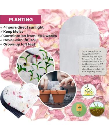 Seed Bloom 24-Piece Handmade Wildflower Seed Paper Gift Set | Recycled Seeded Paper Tags & Cards | Stationery & Gift Wrap Supplies with Hearts Envelope & Planting Guide - Buy Online on SooperMarket.com