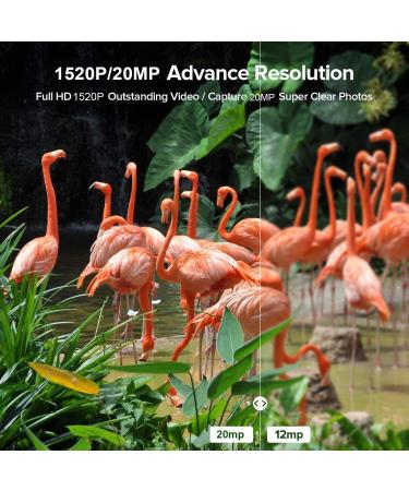 1520P 20MP Trail Camera with 120 Wide-Angle Motion Sensor, 0.2s Trigger Time, 940nm No Glow, IP66 Waterproof - Wildlife Game Camera for Monitoring - Green - Buy Online on SooperMarket.com