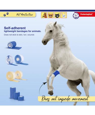 Protectaplast Self-Adhesive Blue Bandage for Pets (7.5cm x 4.5m) - Latex-Free Glue-Free Dressing for Dogs Cats & Horses | Ideal for Wounds & Joints - Buy Online on SooperMarket.com