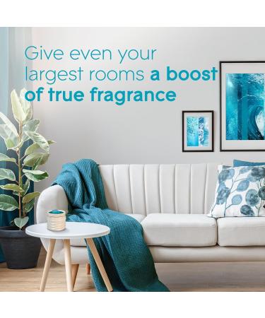Glade Wax Melts Air Freshener and Odor Eliminator Scented Essential Oils for Home and Bathroom Aqua Waves 6 Count 343754 - Buy Online on SooperMarket.com