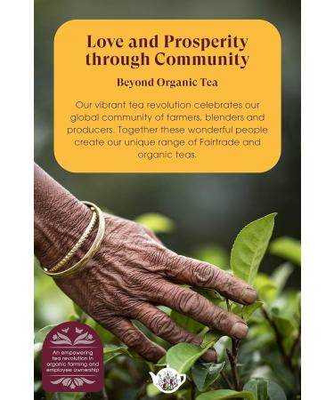 English Tea Shop Organic Gin Botanicals - 12 Pyramid Tea Bags Gift pack with 3 different Natural Botanical Blends - Buy Online on SooperMarket.com
