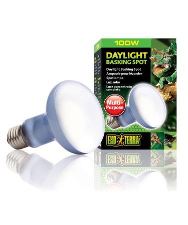 Exo Terra Daylight Basking Spot Bulb 100 W Violet 100 Watt