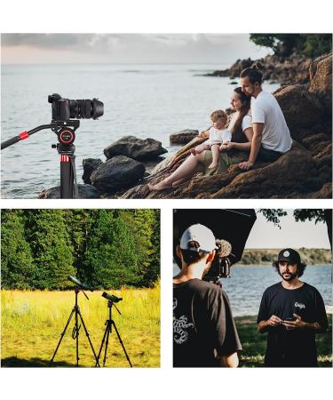 V6 Professional Video Fluid Head Mount for DSLR Cameras & Camcorders - Max Load 17lbs/8kg - Buy Online on SooperMarket.com