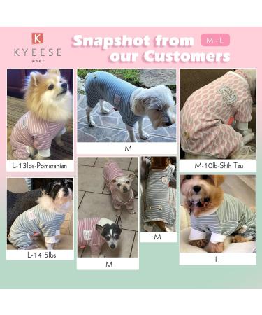 KYEESE Dog Pajamas 4 Legs Jumpsuit, Hair Shedding Cover, Summer Medium - Green Stripe | Pack of 1 - Buy Online on SooperMarket.com