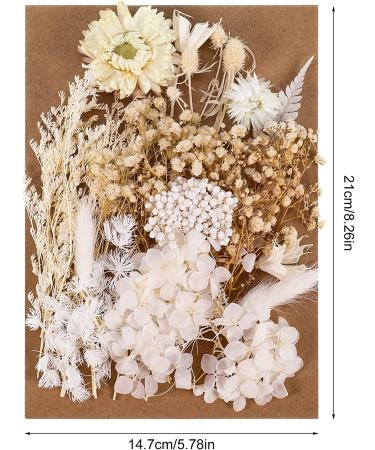 AhlsenL Real Dried Flowers Mix - Hydrangeas, Daisies, White Decorative Petals for DIY Crafts - Buy Online on SooperMarket.com