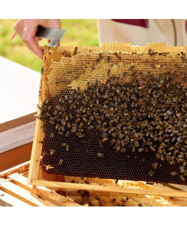 Earthbreath Honey with Propolis 340g - Raw Pure Natural Immunity Support - Buy Online on SooperMarket.com