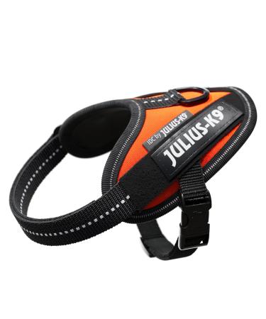 IDC Powerharness Size: 3XS/Baby 1 UV Orange UV Orange 3XS/Baby 1
