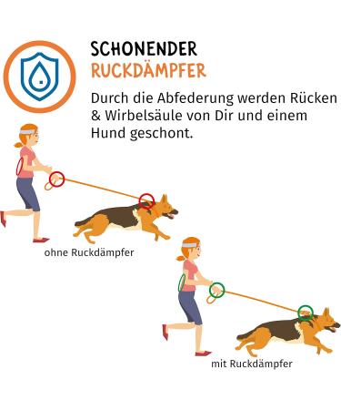 FLOXIK RULD DISCHESS Dog Small | Strong Elastic Linen Leash for Walking Jogging & Cycling - Perfect for Every Dog - Buy Online on SooperMarket.com