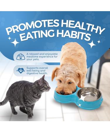 Double Slow Feeder Dog Bowl | Raised Non-Slip Stainless Steel Cat Food & Water Bowl | Detachable Blue Cat Bowl - Buy Online on SooperMarket.com
