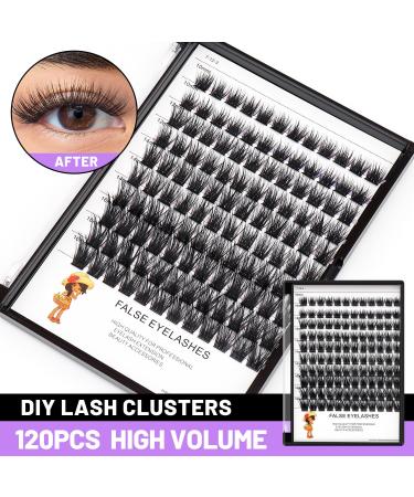 Buy Bodermincer 120pcs D Curl Mixed Eyelashes - Professional Individual Cluster for Home Extensions (8-10-12-14-16mm - Buy Online on SooperMarket.com