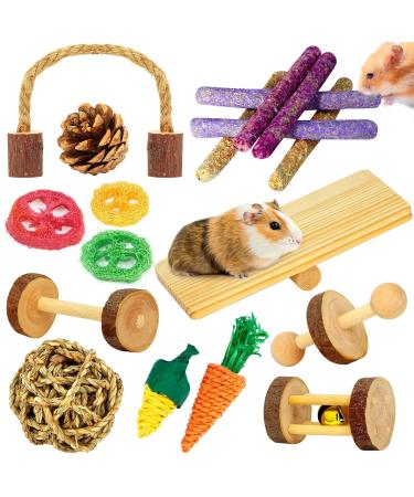 Hamster Toys, Guinea Pig Toys, 18 Pcs Wooden Hamster Toy Set Natural Apple Wood Small Animal Chew Molar Toys for Teeth for Rabbit, Chinchilla, Gerbils, Rats Exercise Accessories
