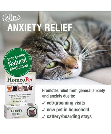 HomeoPet Feline Anxiety Relief - Stress & Anxiety Support for Cats - 15ml - Buy Online on SooperMarket.com