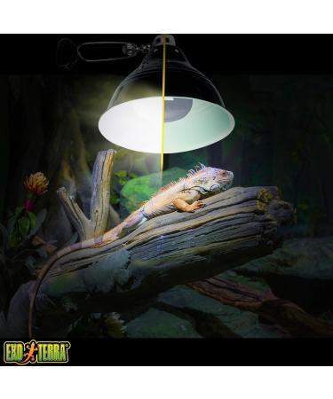 Exo Terra Intense Basking Spot Heat Lamp R20 25W E27 Socket - Pack of 2 | International Shipping Available - Buy Online on SooperMarket.com