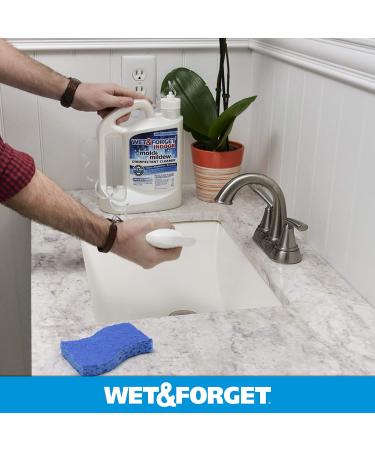 Wet  Forget Indoor Mold and Mildew All-Purpose Cleaner Deodorizes Disinfects Kills 99.9 of Bacteria and Viruses Ready to Use 64 Fl. Oz. - Buy Online on SooperMarket.com