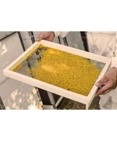Organic Bee Pollen | Premium Quality Flower Pollen | ImkerPur 500g | Residue-Free & Mild Flavor - Buy Online on SooperMarket.com