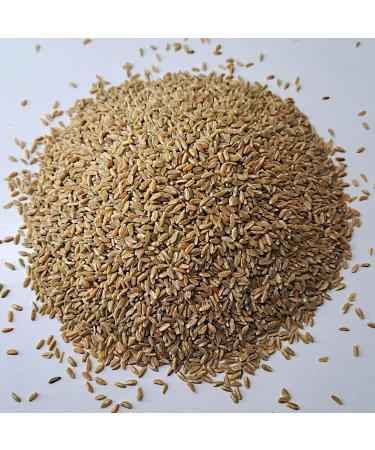 Purchase Premium 1000g Whole Grain Green Spelt from R tze Mill - Fresh & High Quality - Buy Online on SooperMarket.com