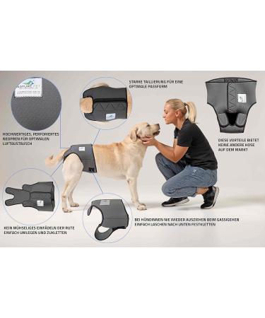 Buy High-Quality Financial Trousers for Dogs 2.0 - Premium Neoprene Diapers for Males - Optimal Airflow No Rod Threading - Large Blue - Buy Online on SooperMarket.com