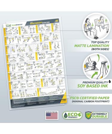 EverStretch Bodyweight Workout Poster - Large 23 x 35 | Video Instructions & Laminated Chart | Home Gym Exercise Poster - Buy Online on SooperMarket.com